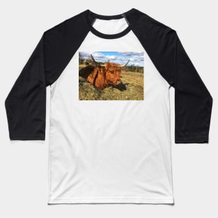 Scottish Highland Cattle Cow 2374 Baseball T-Shirt